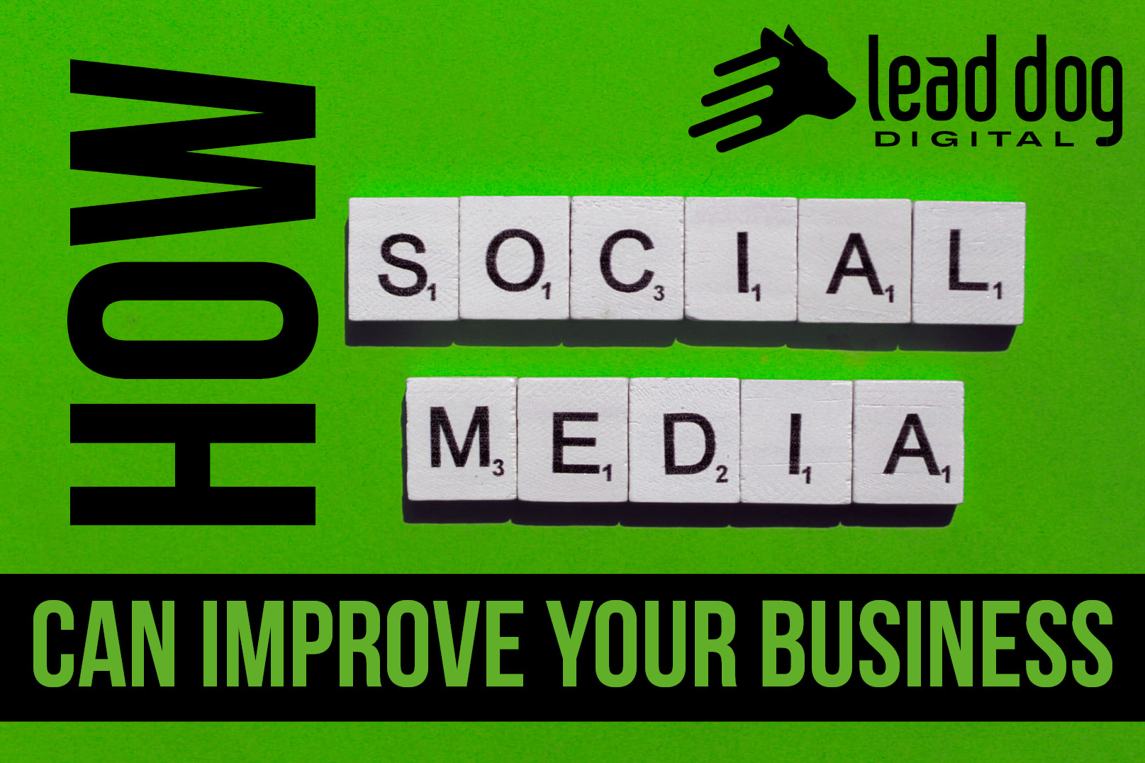 The visual shows the headline "How Social Media Can Improve your Business" and the Lead Dog Digital Tyler TX logo.
